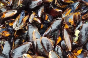 Moules