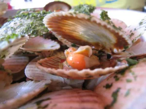 Pétoncles